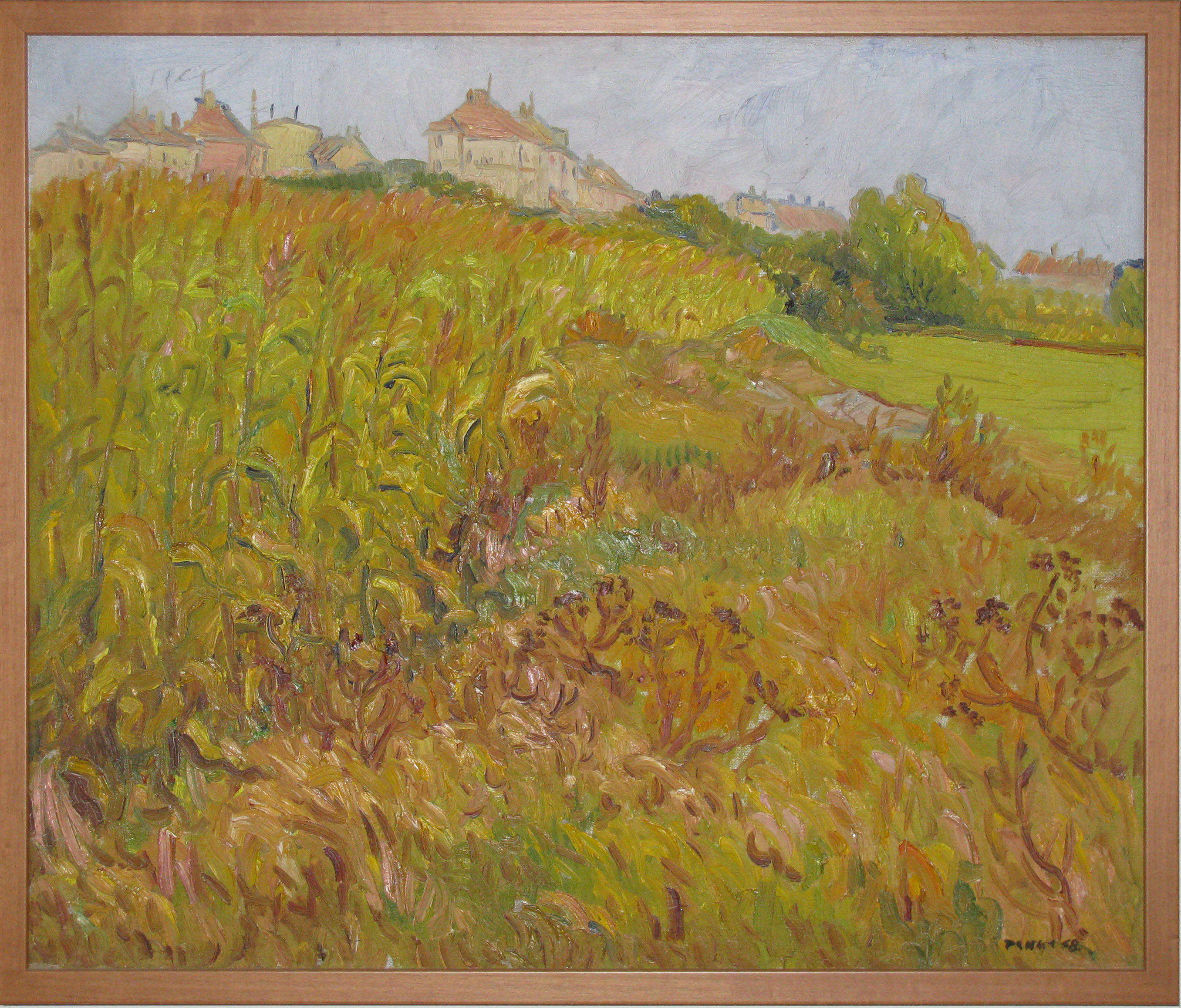 Kukuřice, 1958, olej na plátně